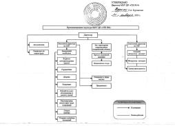 Организационная структура МАУ ДО "СШ № 4"